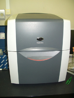 Automated electrophoresis system